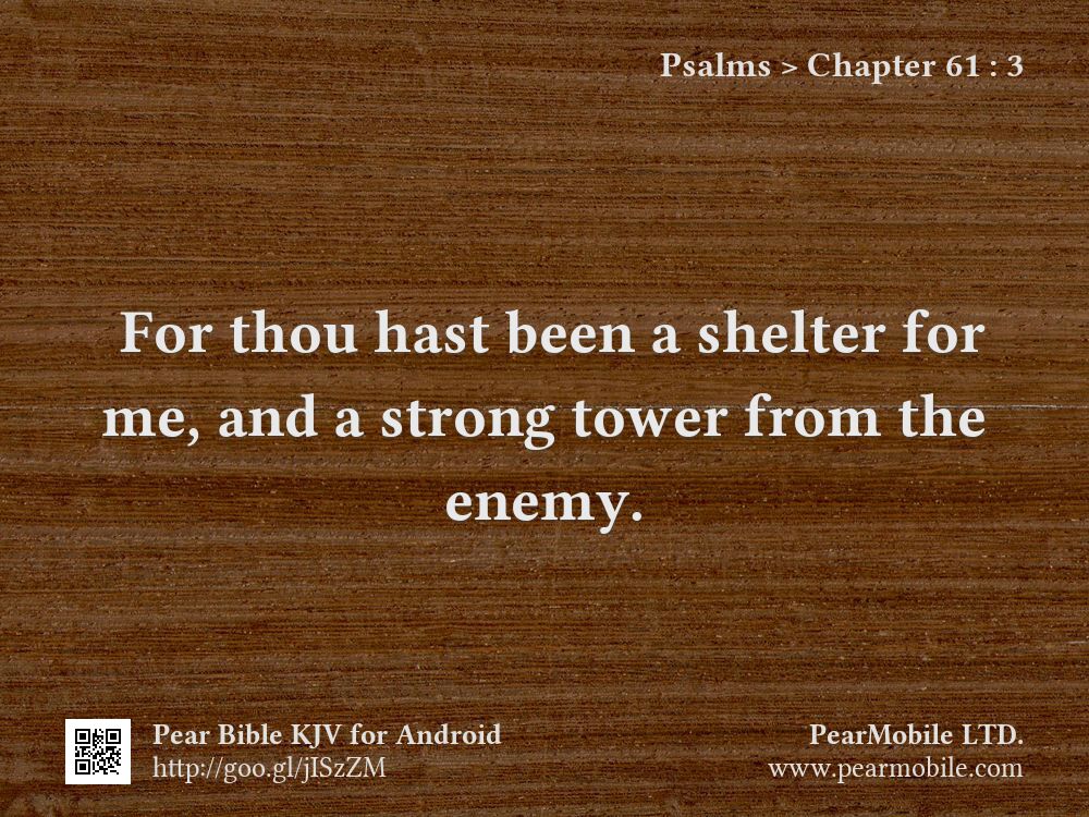 Psalms, Chapter 61:3